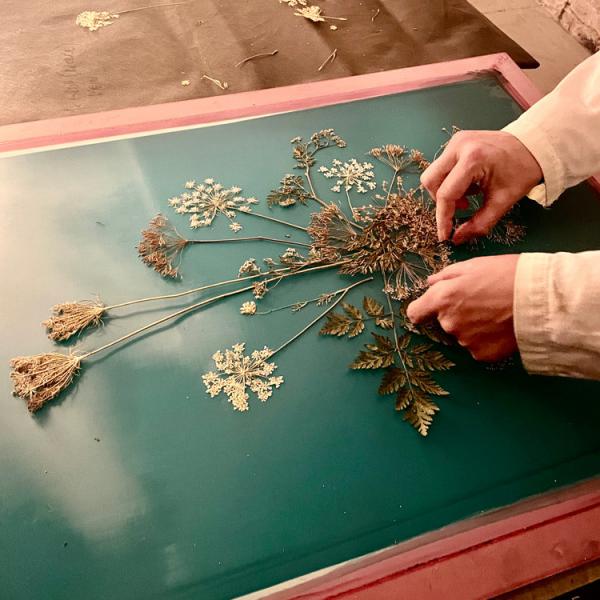 Siebdruck-Workshop mit Pflanzen auf Leinen