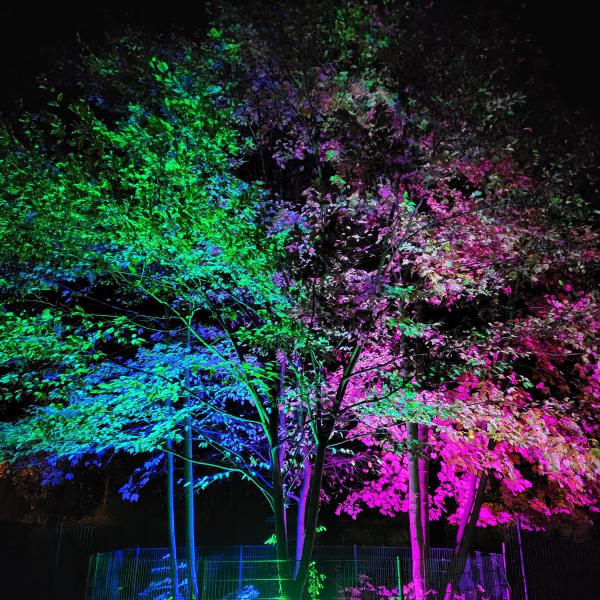 Halloween-Lichternacht im Tierpark Angermünde