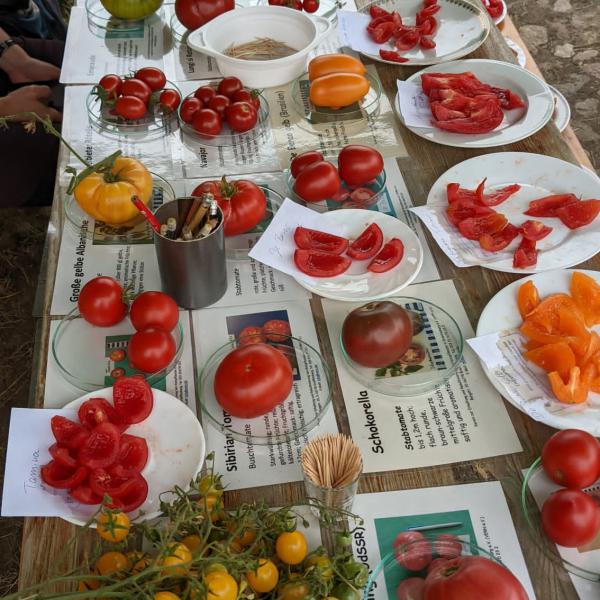 Sommerfest