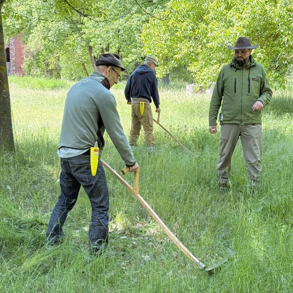 Tageskurs „Die Sense schwingen”