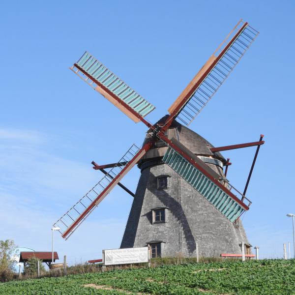 sonntägliche Führungen auf der Mühle Greiffenberg