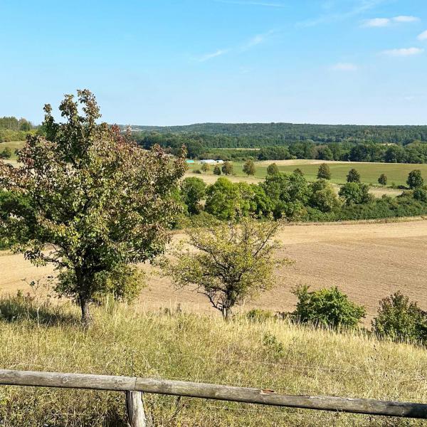 SonntagsTouren in die Schorfheide - Brodowin "Naturparadies und Dorfidyll"