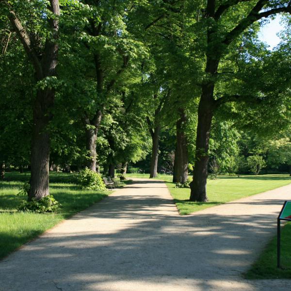 Stadtentdeckung Prenzlauer Stadtpark