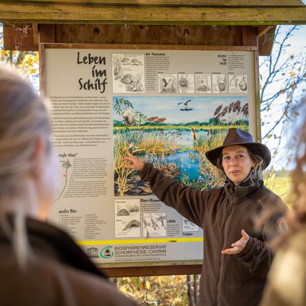 RangerTour: Durch die Eulenberge rund um den Wrietzensee – Die Vielfalt des Uckertals erwandern