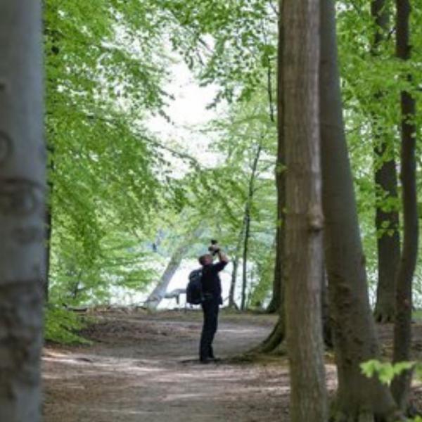 Naturfotokurs für Einsteiger & Fortgeschrittene