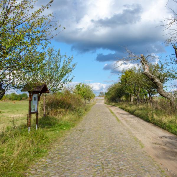 SonntagsTouren in die Schorfheide - Geführte Wanderung - Rund um den Schulsee