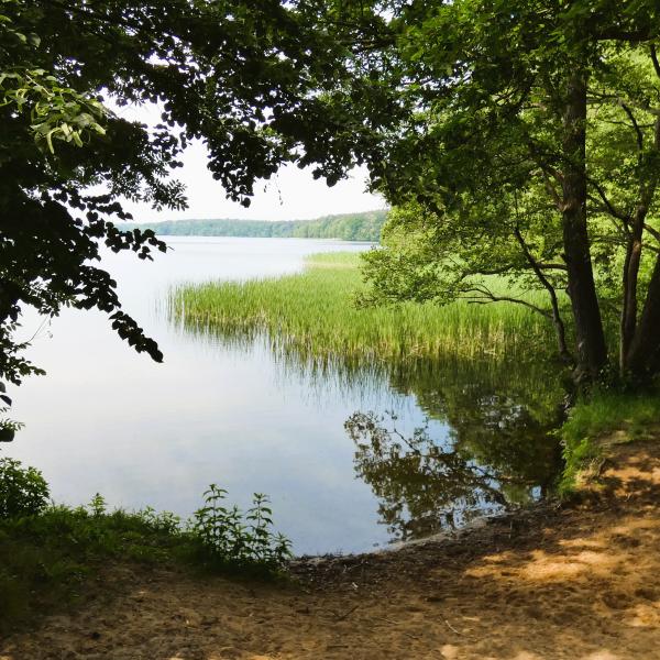 Achtsamkeit am Wolletzsee