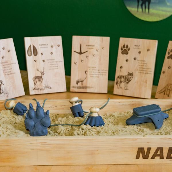 Mitmachausstellung "Spüren, Riechen, Staunen"