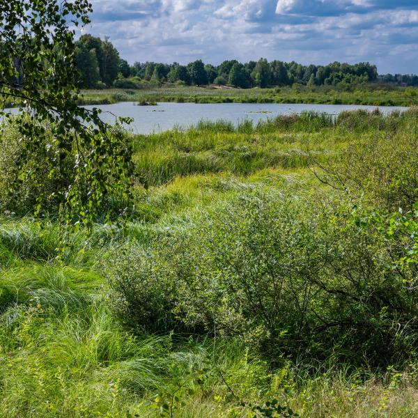 Wildnistour Tangersdorf – Kleine Schorfheide/Beutel