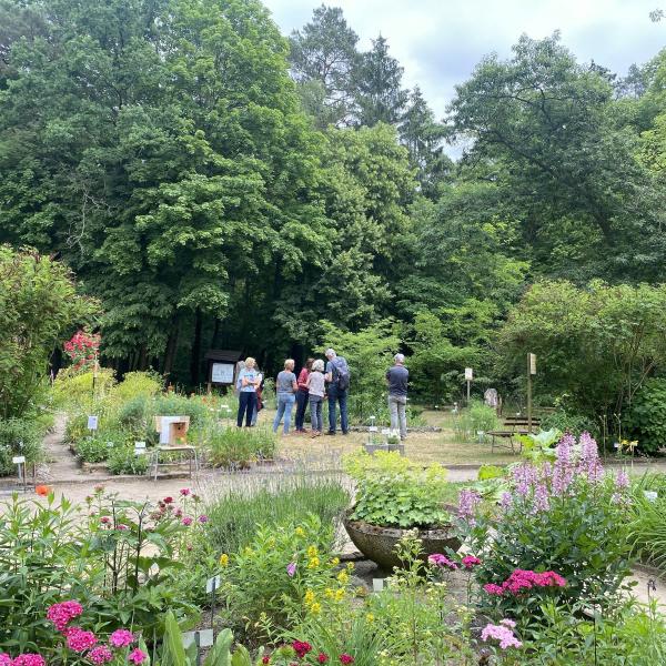 Sondertermin Offene Gärten Uckermark: Lehmann-Garten Templin