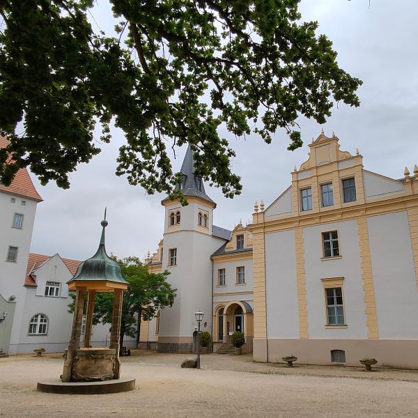 Sommerferienprogramm: Das blaue Wunder – Cyanotypie