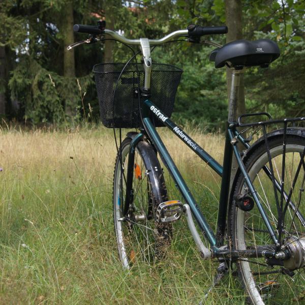 RangerTour: Beobachten - Lauschen - Erleben, Einblicke in die Rangerarbeit