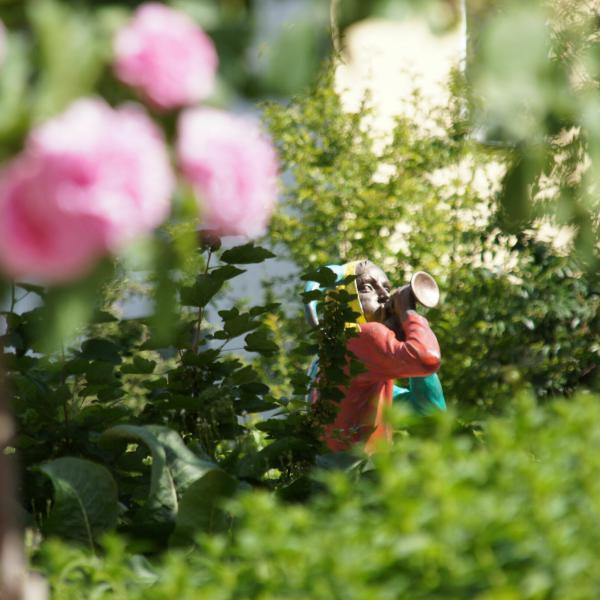 Offene Gärten Uckermark: Klostergarten und Rundweg um Klosterensemble