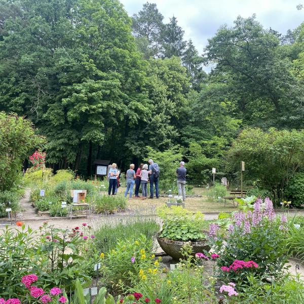 Sondertermin Offene Gärten Uckermark: Lehmann-Garten Templin