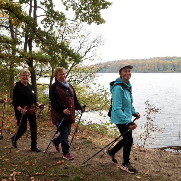 Nordic Walking / Wandern im Wolletzwald