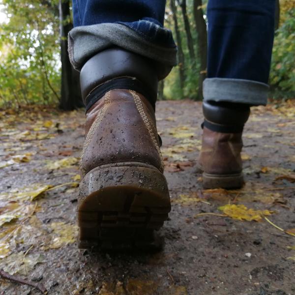 Wanderung durch den Schorfheide Choriner Wald mit dem SSV PCK 90 Schwedt e. V.